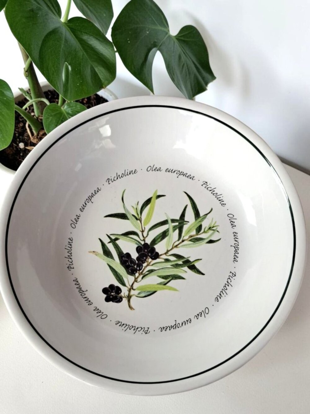 Williams Sonoma Olives Olea Europaea Picholine 9 1/2" Pasta Bowl Portugal